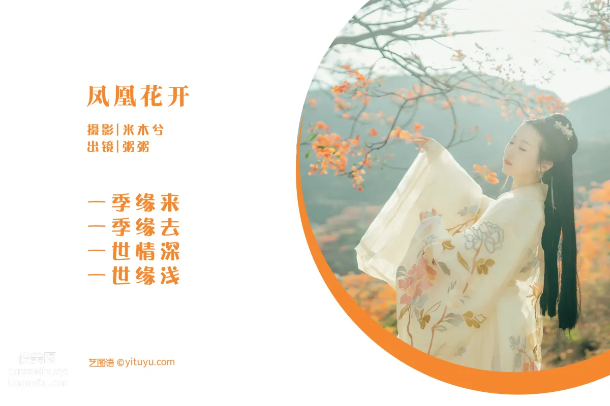 [藝圖語] 2022.05.28 鳳凰花開 粥米飯 2