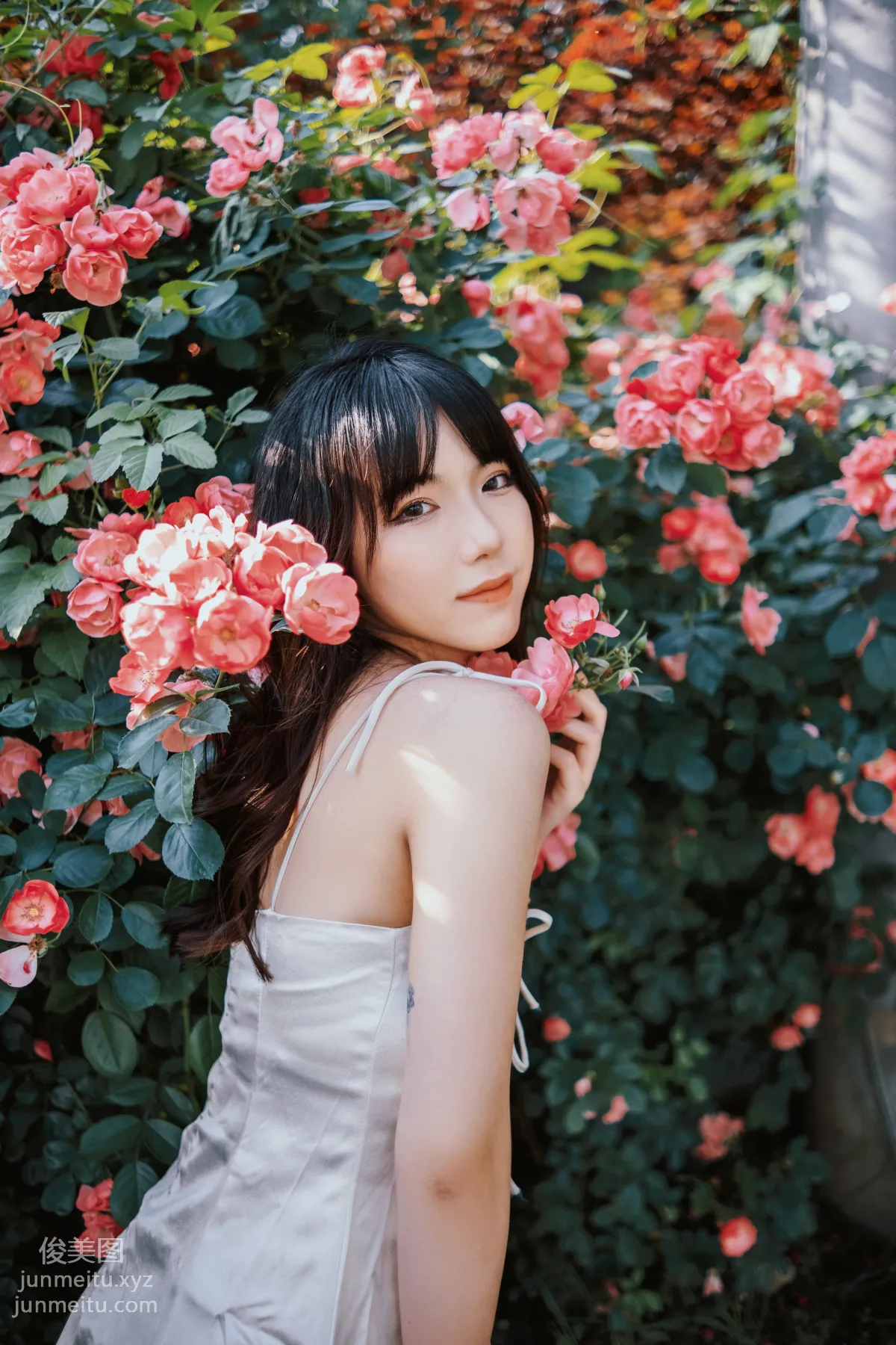[藝圖語] 2022.06.10 薔薇花下 依依 11