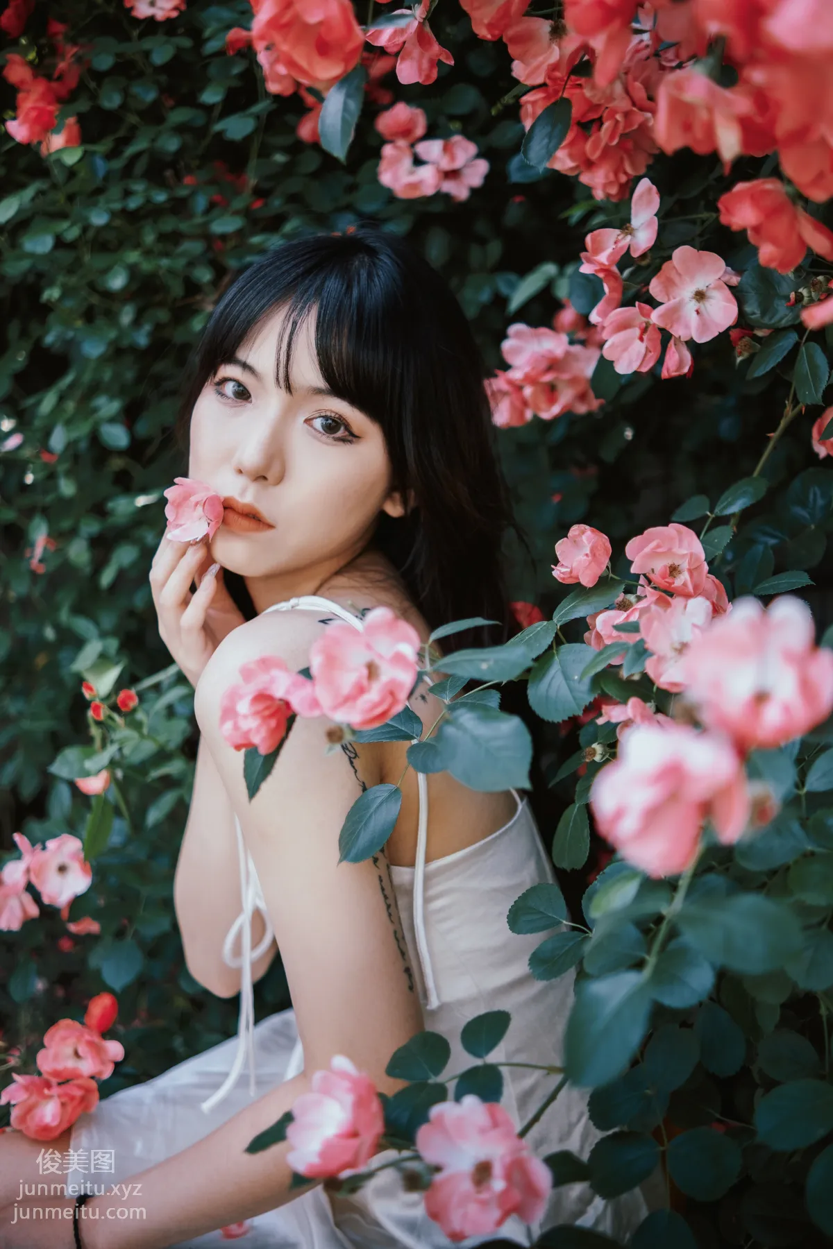 [藝圖語] 2022.06.10 薔薇花下 依依 13