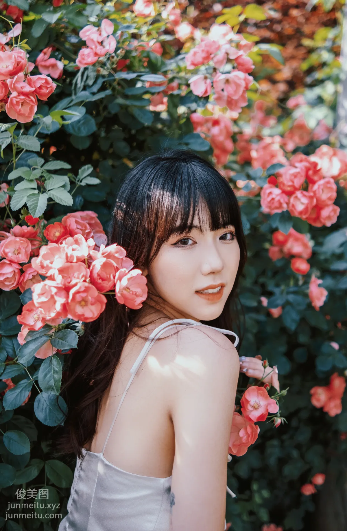 [藝圖語] 2022.06.10 薔薇花下 依依 14