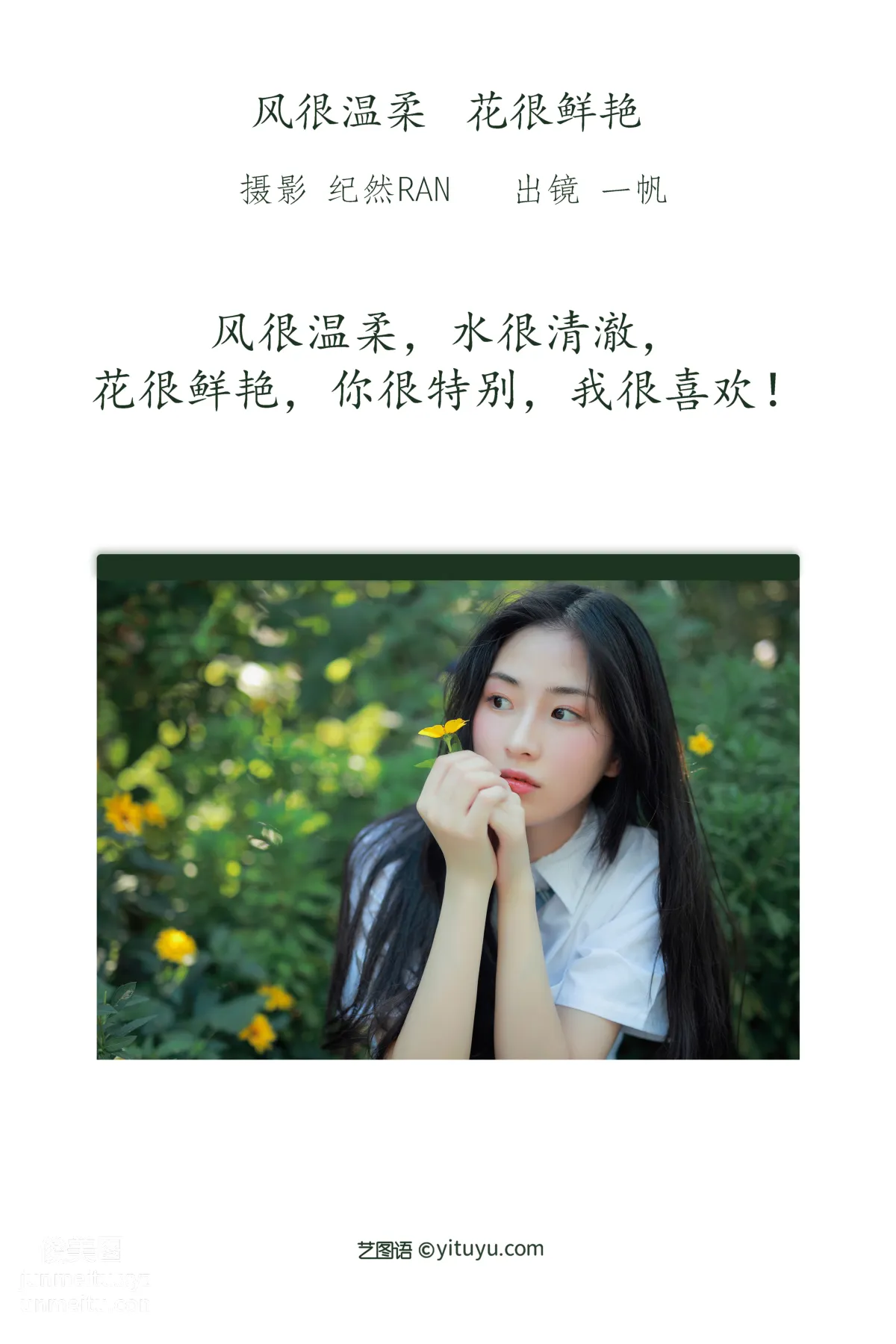 [藝圖語] 2022.07.02 風很溫柔，花很鮮豔 一帆 2
