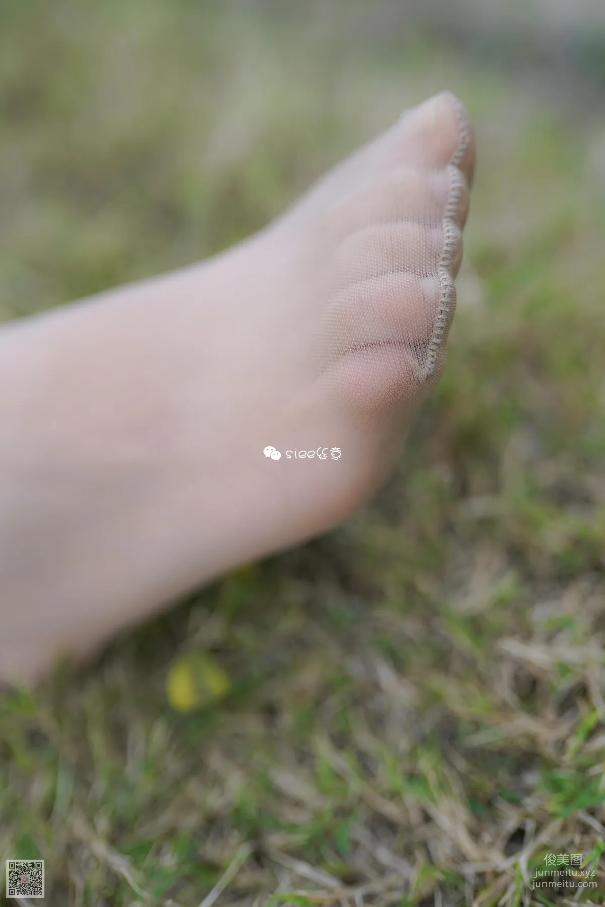 [SIEE絲意] No.191 晴兒~草地薄絲 [30P][原刊] 6
