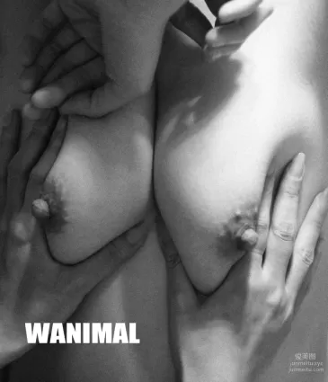 [WANIMAL王動] 2013年02月作品集