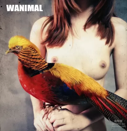 [WANIMAL王動] 2013年04月作品集