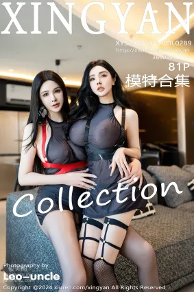 [XINGYAN星顔社]2024.11.27 VOL.289 模特合集