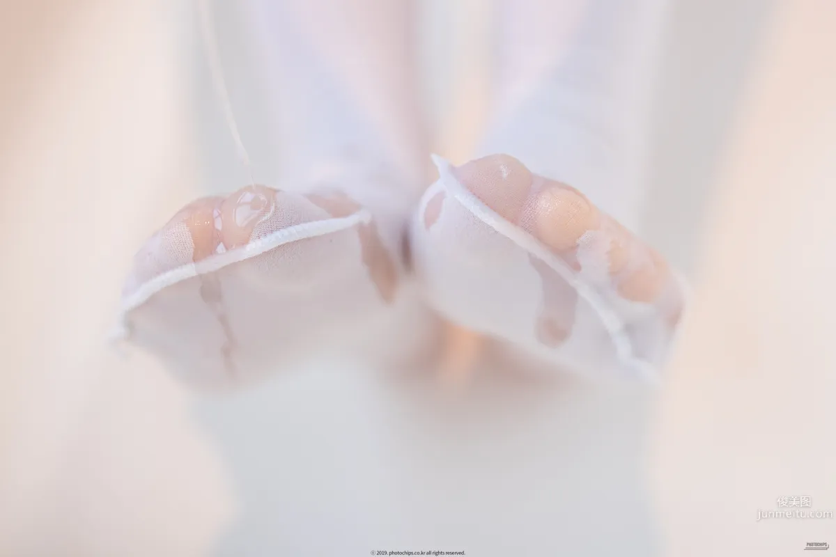 050.PhotoChips Vol.83 Sia(시아) No.3[111P] 26